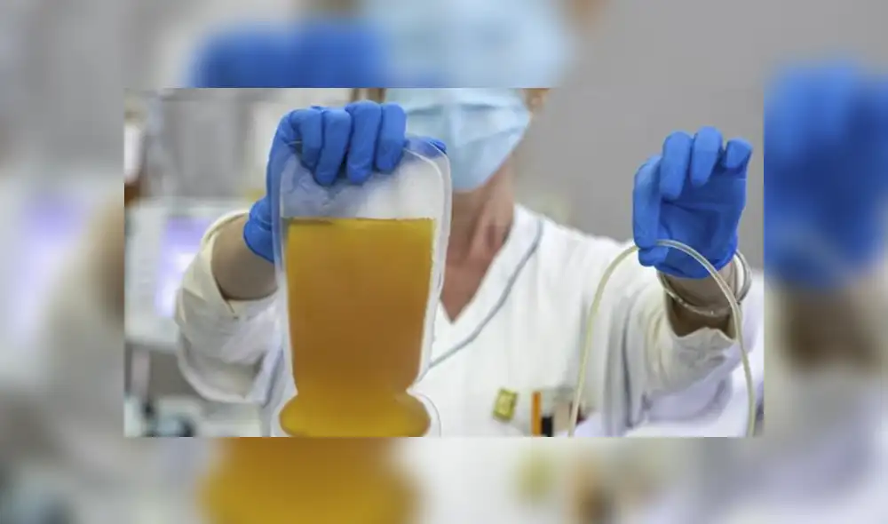 El Ministerio de Salud de Argentina señaló que la identidad de género y orientación sexual no es impedimento para donar plasma. Foto: referencial. El Ministerio de Salud de Argentina señaló que la identidad de género y orientación sexual no es impedimento para donar plasma. Foto: referencial.