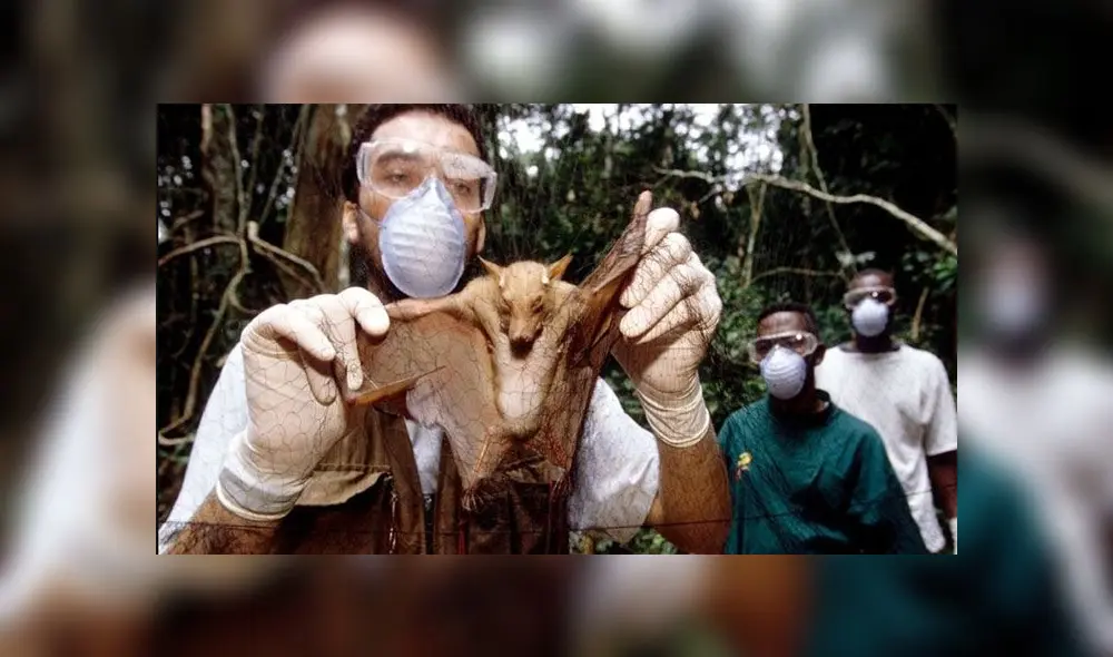 Los expertos consideran que puede haber nuevas pandemias. Foto: Science Photo Library / BBC Los expertos consideran que puede haber nuevas pandemias. Foto: Science Photo Library / BBC