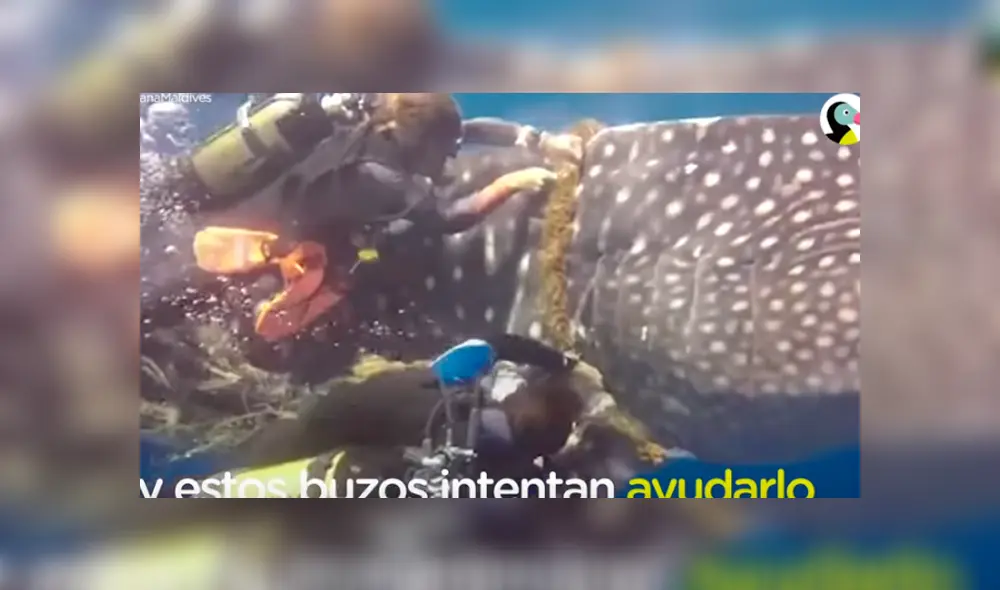 Desliza hacia la izquierda para ver el conmovedor rescate del video viral de Facebook.