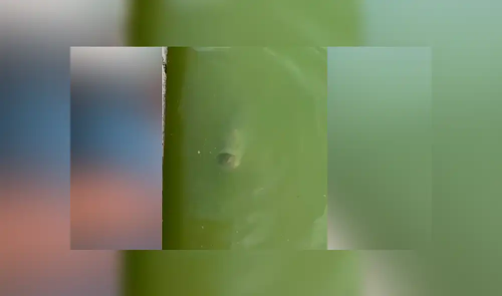 Desliza para ver los momentos más impactantes del video que se hizo viral en Facebook.