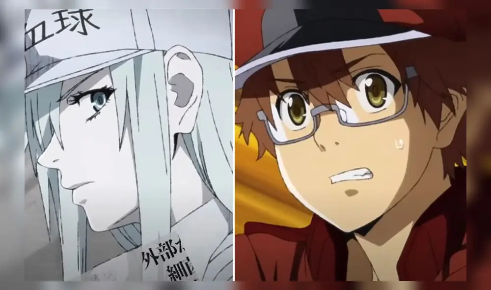 Cells at work! Code black será adaptado en anime. Créditos: composición