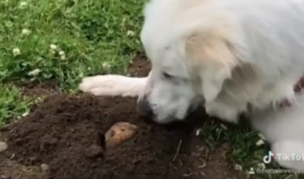 Desliza hacia la izquierda para ver las imágenes del video viral. Foto: Captura de Facebook. Desliza hacia la izquierda para ver las imágenes del video viral. Foto: Captura de Facebook.
