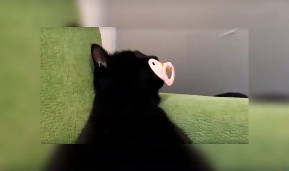 Desliza para ver el comportamiento que ha conmovido a los usuario de YouTube. Foto: Captura.