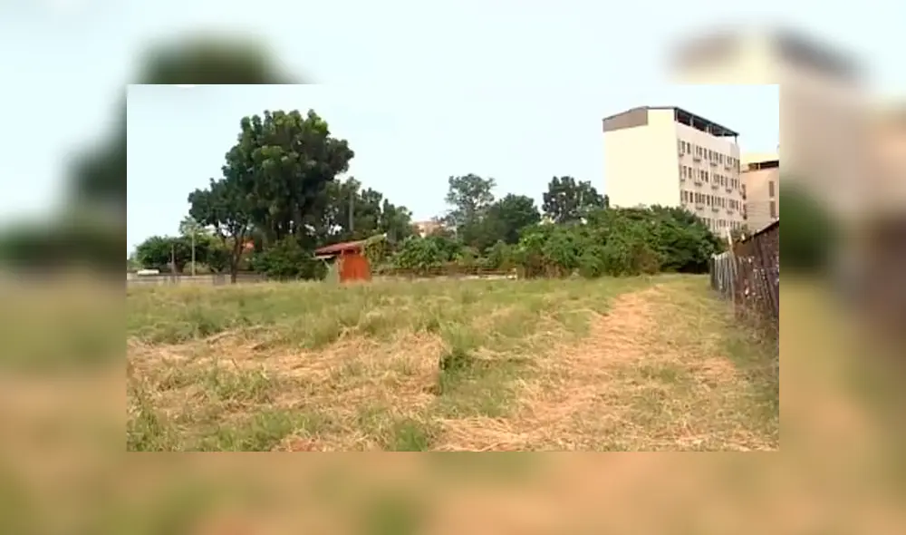 Bebé recién nacido es devorado por perros callejeros tras ser abandonado Bebé recién nacido es devorado por perros callejeros tras ser abandonado