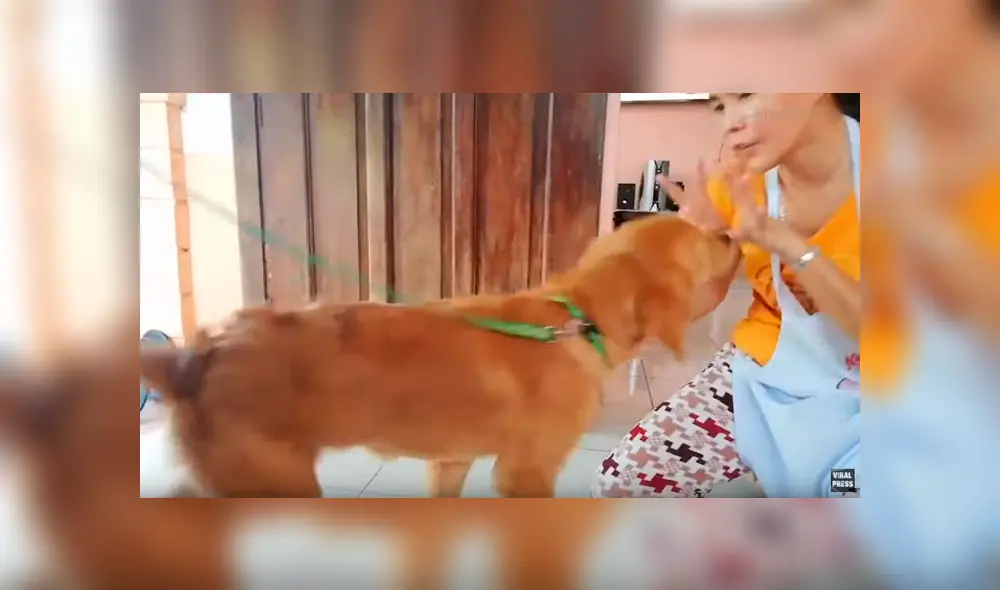 Facebook viral: Perro sorprende por su impresionante inteligencia al contar hasta 10 con su dueña [VIDEO]