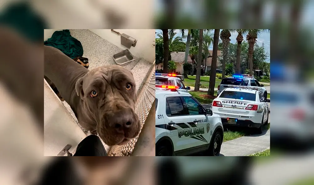 El homicida, identificado como Ronald Delserro, fue abatido por los agentes. Foto: Departamento de policía de Port St. Lucie