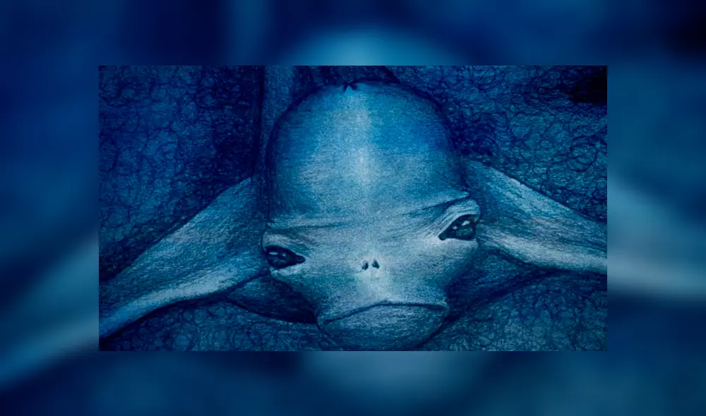 YouTube viral: gigantesca criatura marina embiste barco de Japón y miles quedan impactados [VIDEO]