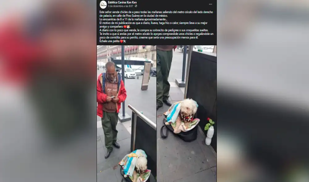 Desliza las imágenes para ver el emotivo gesto de un hombre al proteger y cuidar a su perro que lo acompaña al trabajo. Foto: Facebook