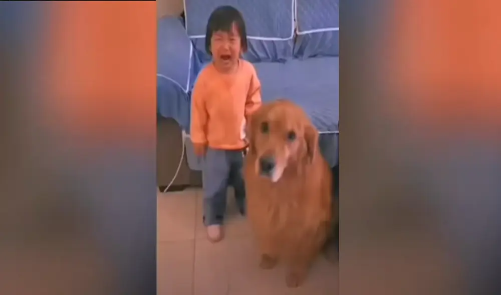 Desliza hacia la izquierda para ver las imágenes del video viral. Foto: Captura de Facebook.