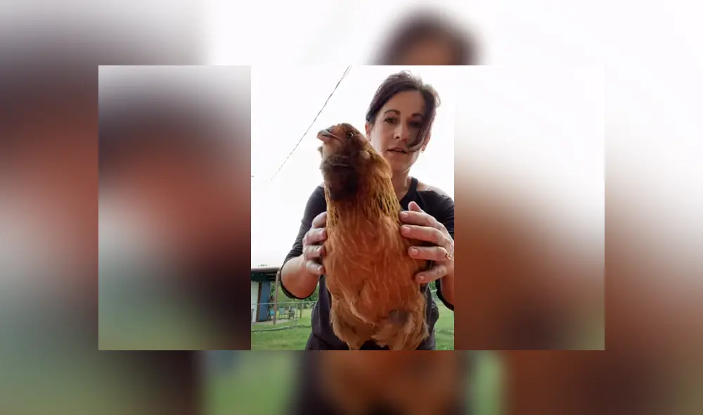 Desliza hacia la izquierda para ver las imágenes del viral de Facebook. Foto: Captura. Desliza hacia la izquierda para ver las imágenes del viral de Facebook. Foto: Captura.