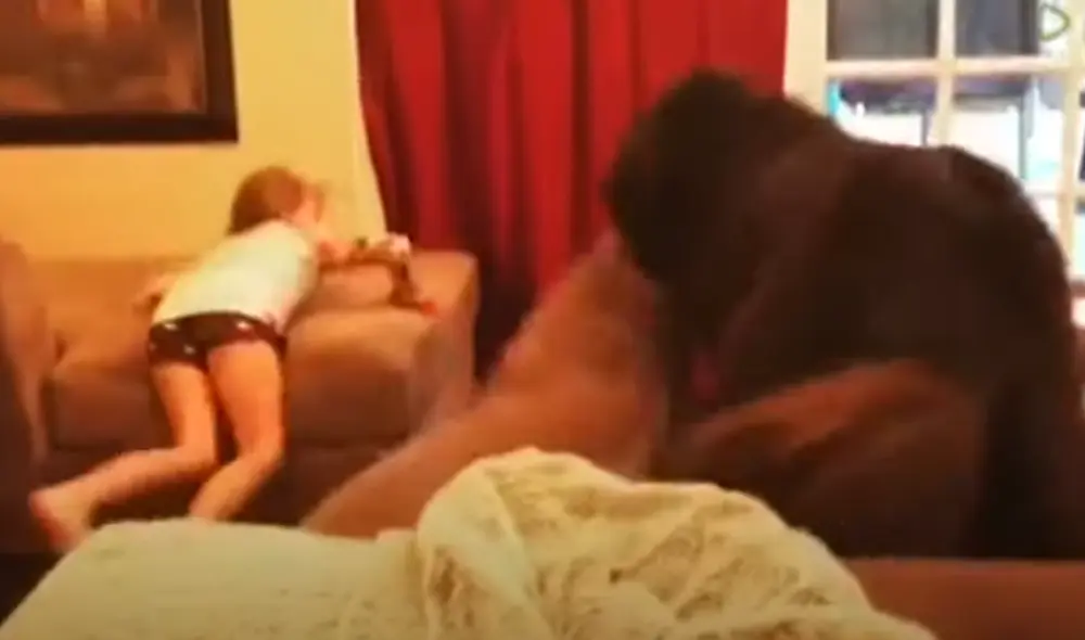 Desliza hacia la izquierda para ver las imágenes del video viral. Foto: Captura de YouTube Desliza hacia la izquierda para ver las imágenes del video viral. Foto: Captura de YouTube