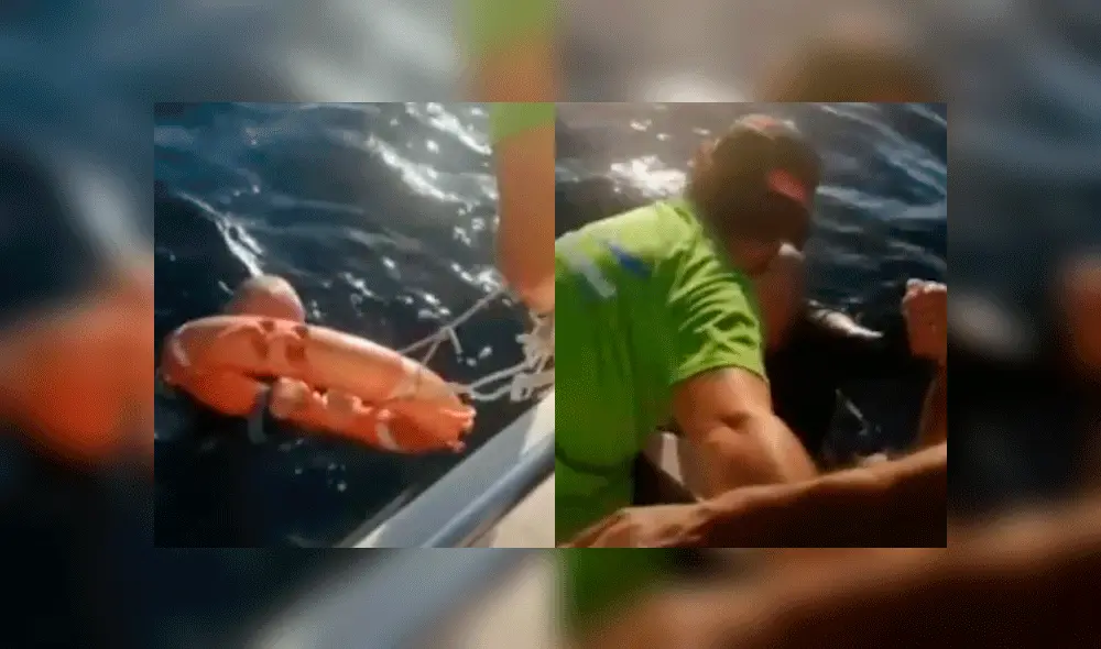 Los jóvenes describieron su paso por el lugar como una gran "suerte". Foto: captura La Vanguardia.