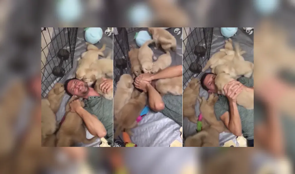 Desliza las imágenes para ver más detalles de esta tierna escena que es viral en Facebook. Desliza las imágenes para ver más detalles de esta tierna escena que es viral en Facebook.