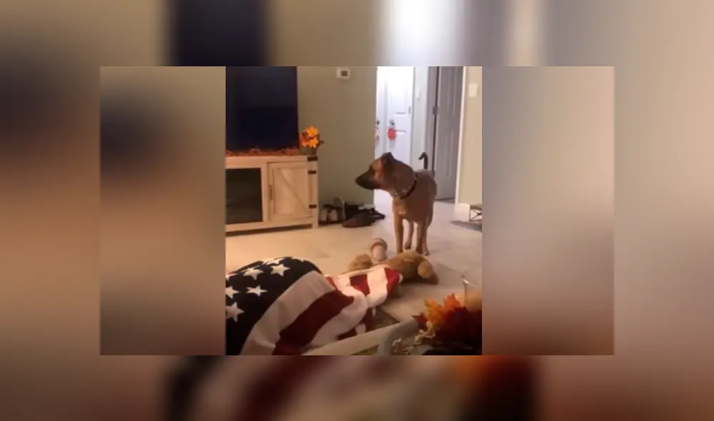 Desliza para ver los momentos más divertidos del video que se hizo viral en YouTube.