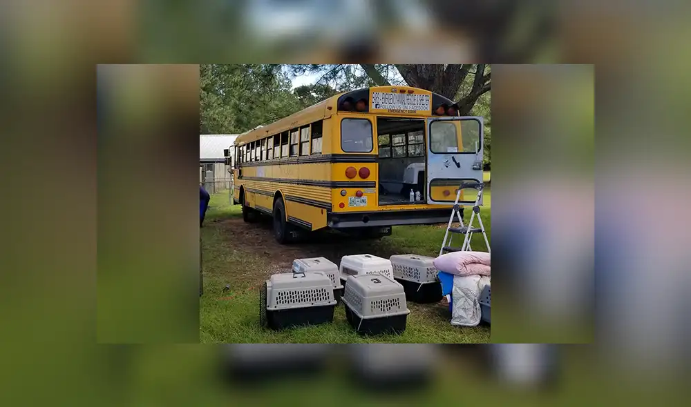 Recorre zonas afectadas por huracán Florence rescatando mascotas abandonadas