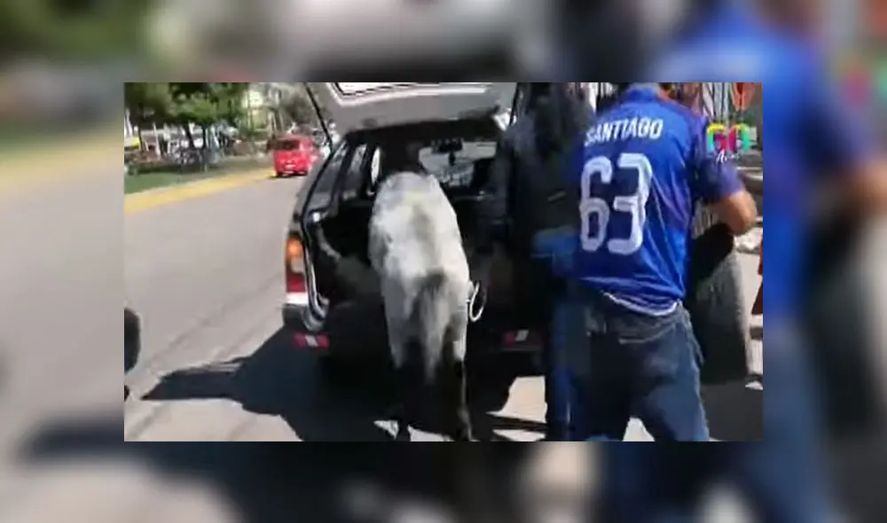 El vídeo publicado ha generado comentarios a favor y otros en contra.