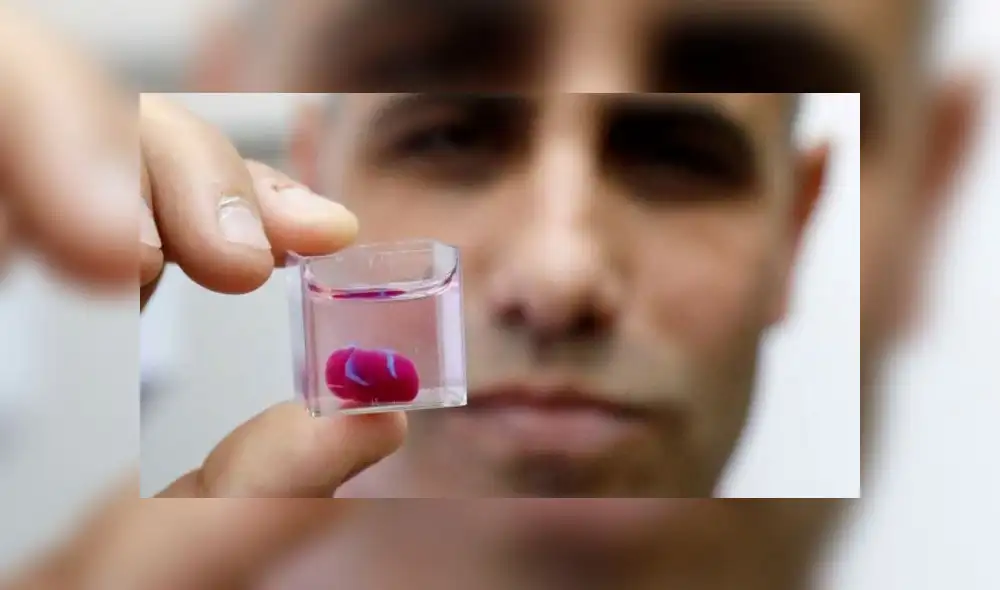 Crean el primer corazón "completo, vivo y que palpita" impreso en 3D con tejido humano [FOTOS]