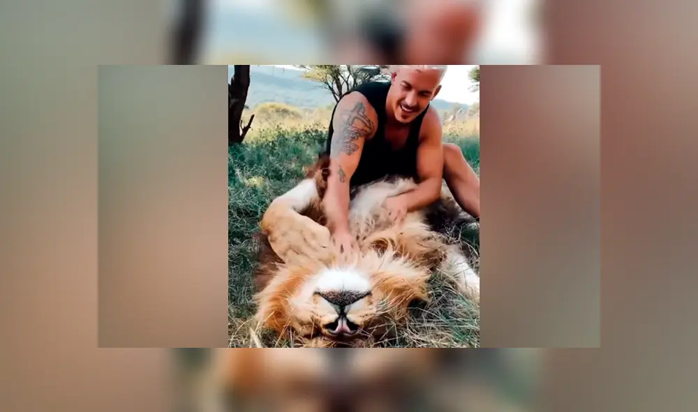 Desliza hacia la izquierda para ver la tierna escena de Facebook protagonizada por un cuidador de leones.