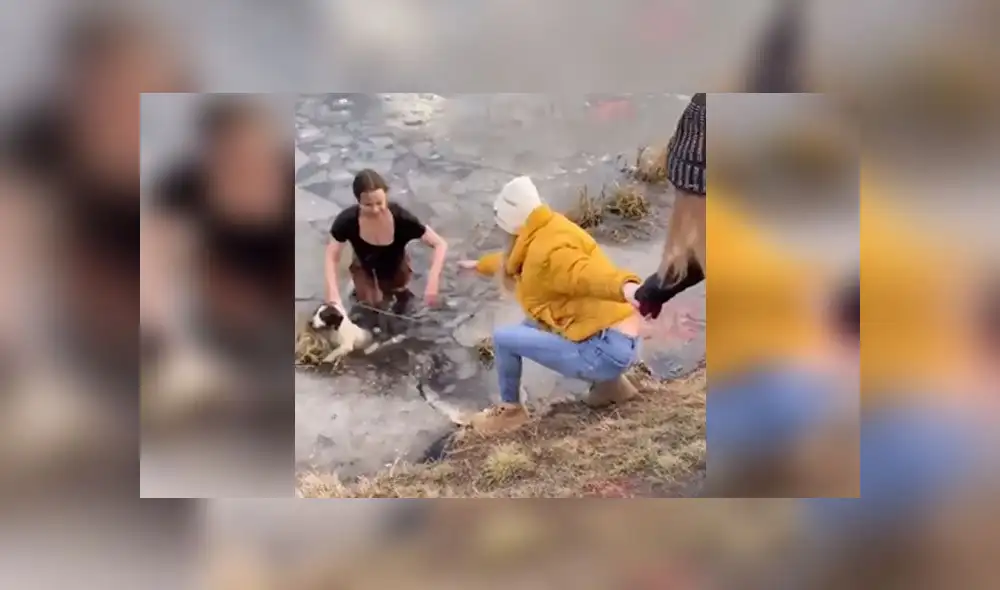 Desliza para enterarte de la valiente hazaña de una mujer que vio que su perro se ahoga en estanque congelado. Foto: Captura Desliza para enterarte de la valiente hazaña de una mujer que vio que su perro se ahoga en estanque congelado. Foto: Captura
