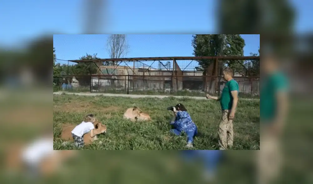YouTube viral: Niña entra a calabozo de leones y la reacción de estos deja impactados a todos [VIDEO]