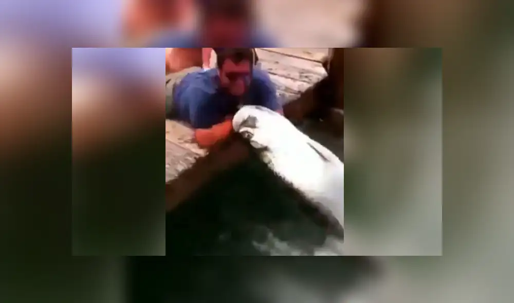 Un hombre fue víctima del ataque de una feroz criatura marina.