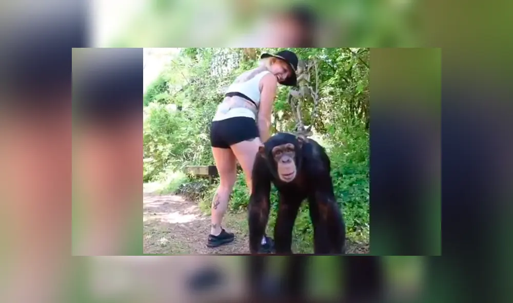 YouTube viral: joven mujer realiza atrevido baile, mono la imita y final conmueve [VIDEO]