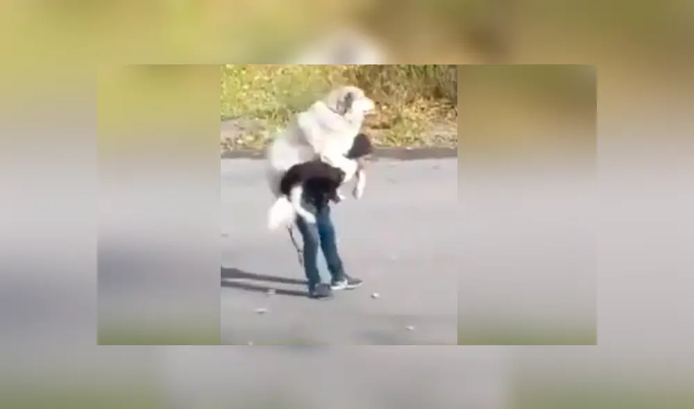 Desliza para ver los momentos más curiosos del video que se hizo viral en Facebook.