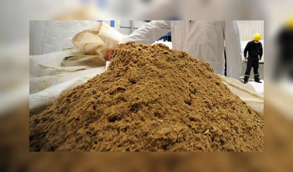 Harina de pescado. Foto: Industrias Pesqueras Harina de pescado. Foto: Industrias Pesqueras