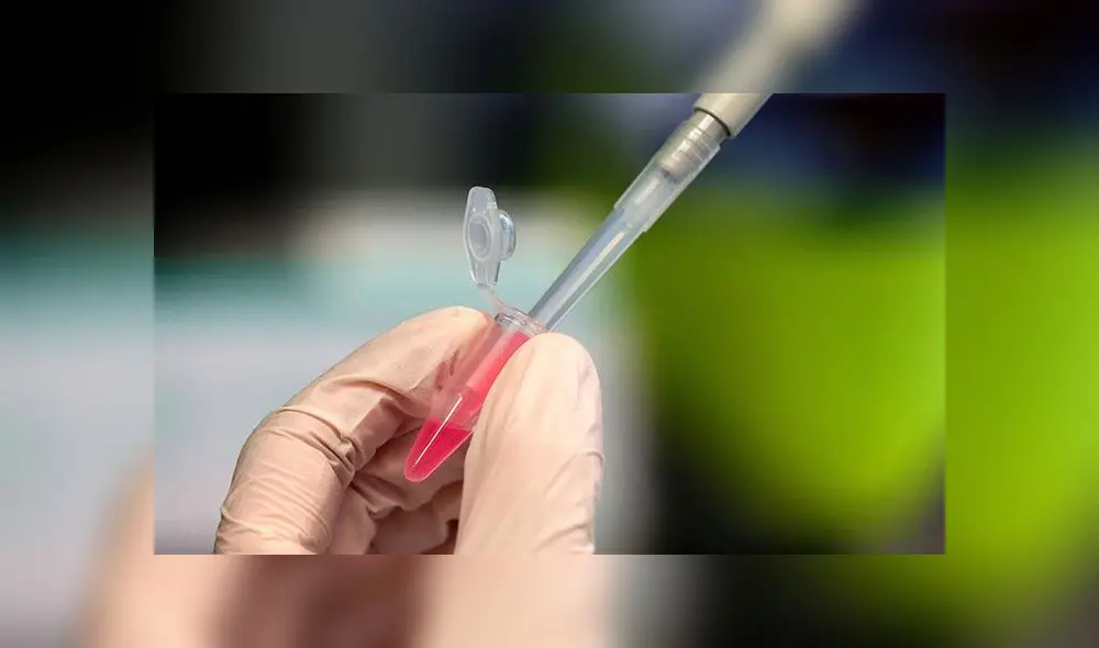 Oxford ya produce vacunas contra el nuevo coronavirus. Foto: EFE