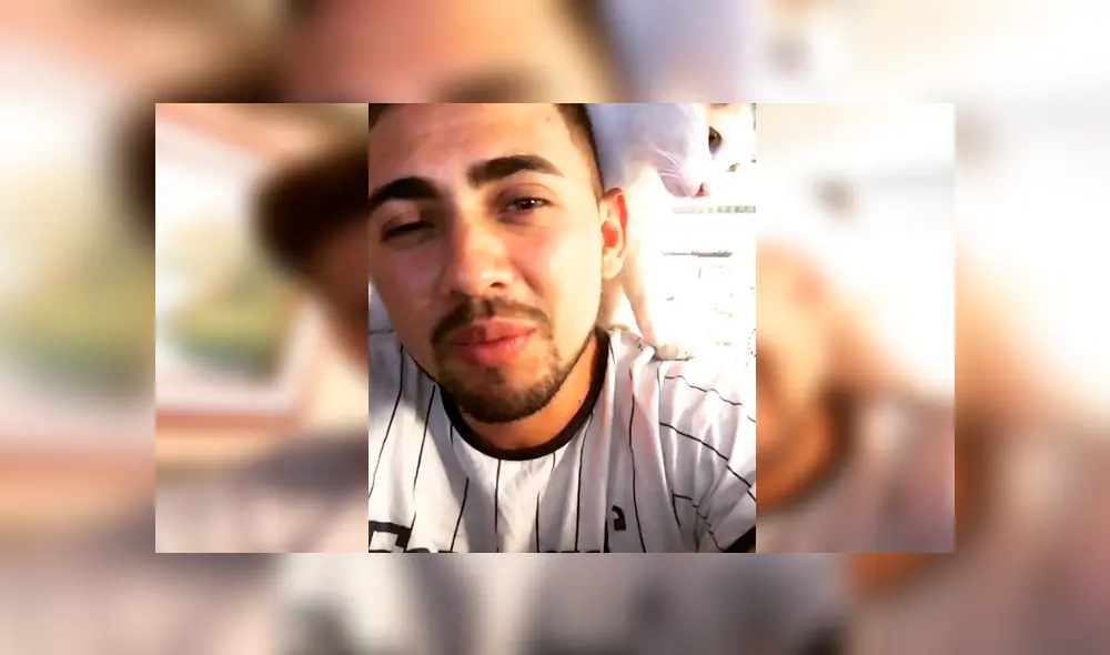 En Facebook, un gato se subió encima de su dueño cuando lo escuchó interpretar una popular canción. En Facebook, un gato se subió encima de su dueño cuando lo escuchó interpretar una popular canción.