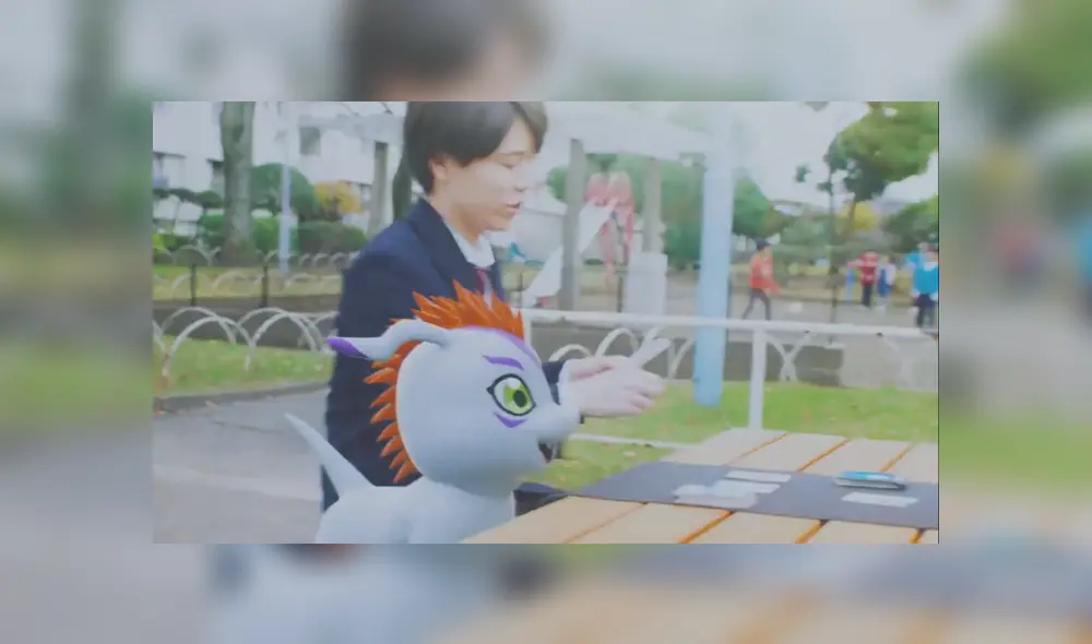 También acompañan en actividades cotidianas.