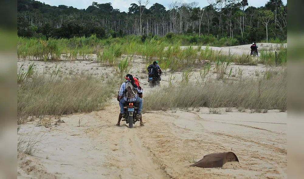 Se perdieron 23 mil hectáreas de bosques en seis meses