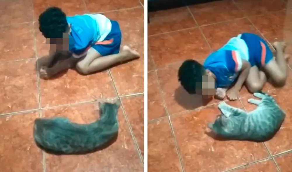 Desliza las imágenes para apreciar el amoroso momento entre un niño y su gato tras quedarse solos en casa. Foto: captura de Facebook