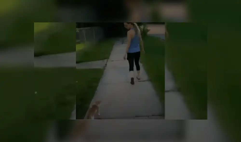 Desliza hacia la izquierda para ver más del video viral. Fotocaptura: YouTube Desliza hacia la izquierda para ver más del video viral. Fotocaptura: YouTube