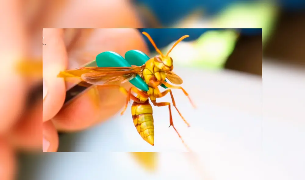 Desliza para ver los momentos más impactantes del video que se hizo viral en YouTube. Desliza para ver los momentos más impactantes del video que se hizo viral en YouTube.