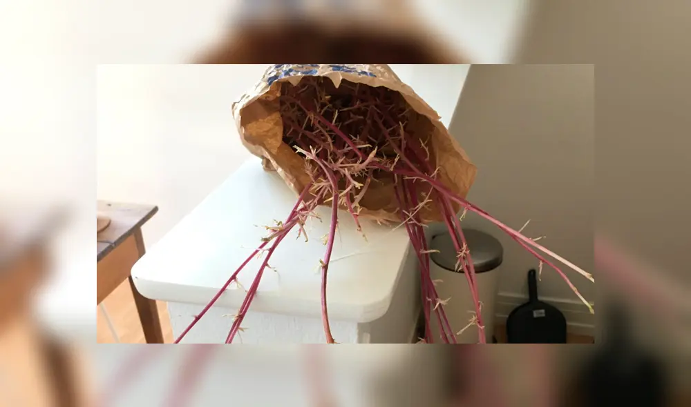 Desliza la imagen de Facebook para verlas todas. Foto: donna9p/Twitter