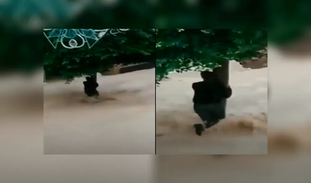 La mujer se sostenía para el agua no la arrastrara. Foto: Captura La mujer se sostenía para el agua no la arrastrara. Foto: Captura