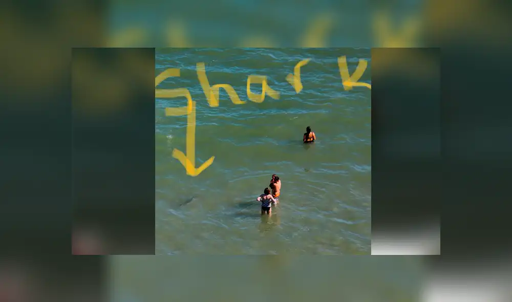 Bañistas quedan aterrados al notar la presencia de un tiburón. Foto: Captura.