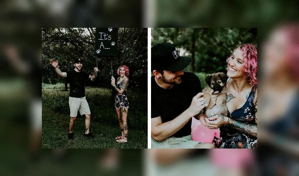 Desliza las imágenes hacia la izquierda para apreciar la tierna sorpresa que armó una pareja tras adoptar a una perrita. Fotos: Captura. Desliza las imágenes hacia la izquierda para apreciar la tierna sorpresa que armó una pareja tras adoptar a una perrita. Fotos: Captura.