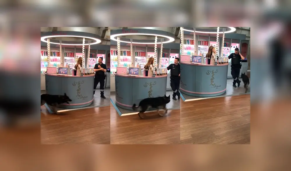 YouTube viral: perro guardián tiene insólita reacción al ver que su ‘compañero’ coquetea con mujer YouTube viral: perro guardián tiene insólita reacción al ver que su ‘compañero’ coquetea con mujer