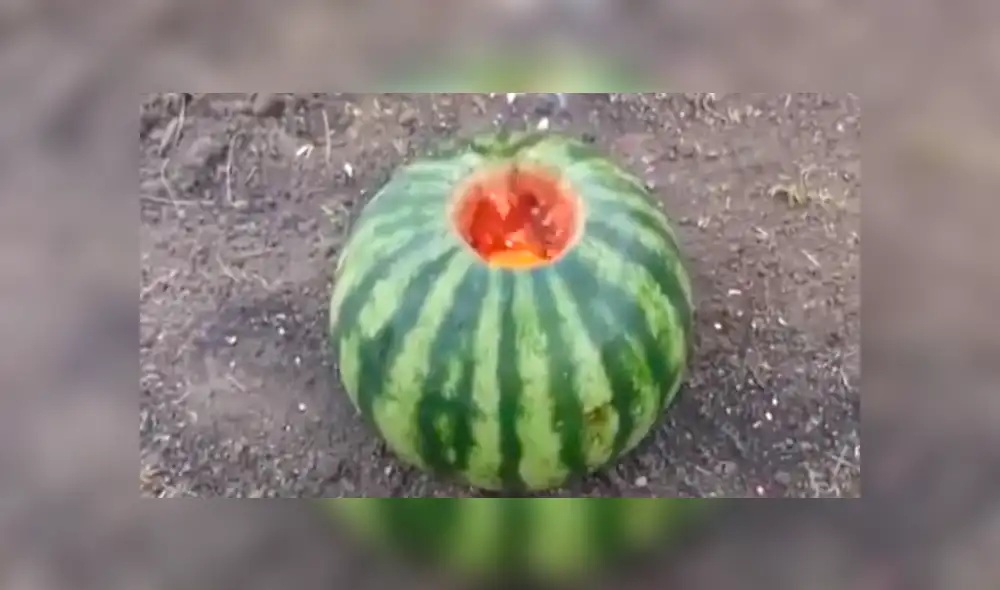 Facebook viral: realiza peligroso experimento con sandía y lava caliente que no debes imitar [VIDEO]
