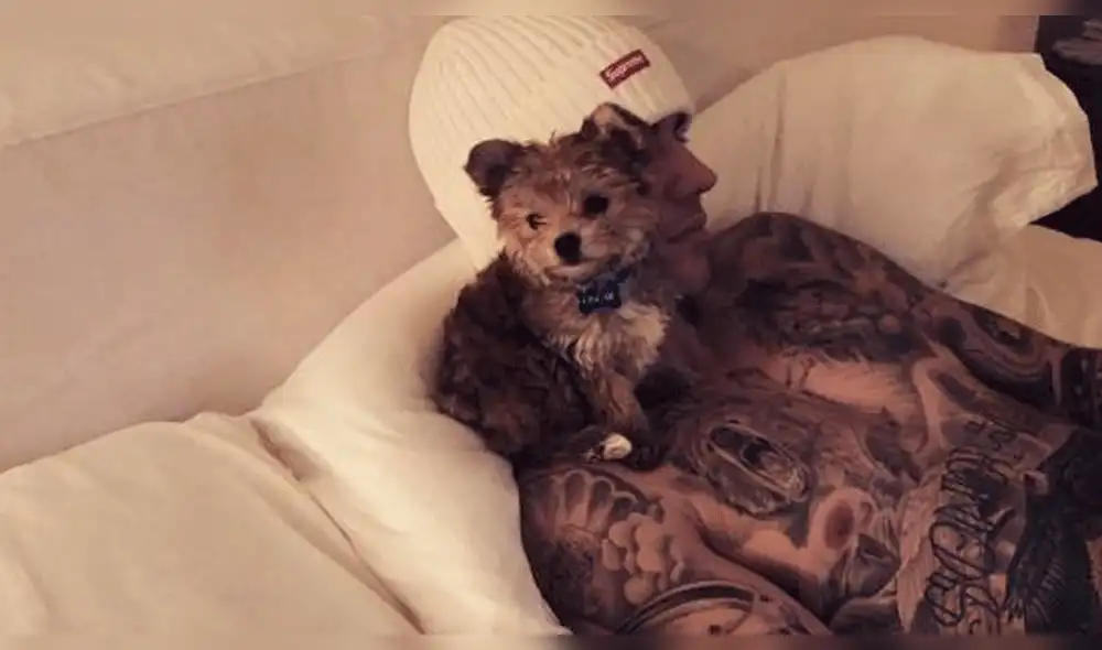 Repudian a Justin Bieber y Hailey Baldwin por supuesto maltrato animal [VIDEO]