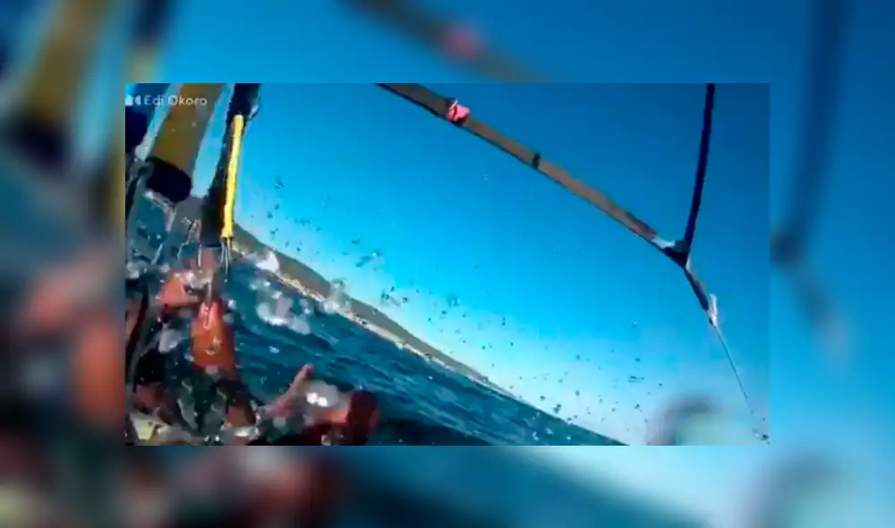 El video viral de Facebook muestra el momento en que los turistas se toparon con las venenosas criaturas que estaban dentro del mar.