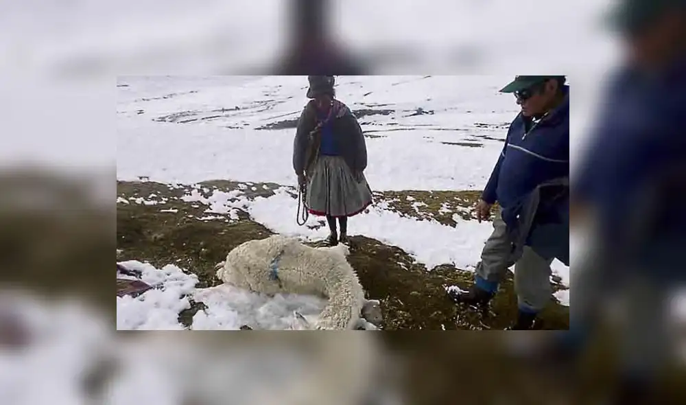 Cusco: Instalan 56 viviendas bioclimáticas en Paucartambo