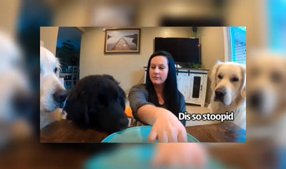 Facebook viral: mujer ‘trolea’ a sus perros con comida ‘invisible’ y estos tiene peculiar reacción al descubrir el engaño