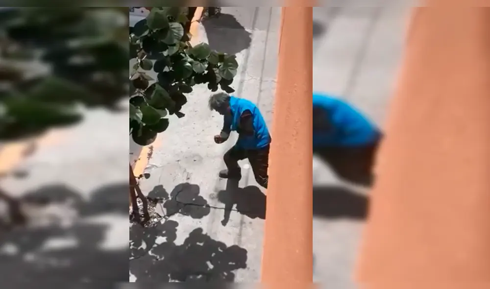 Vía Facebook: hombre ebrio es grabando mientras 'pelea' con un perro imaginario y el video es viral