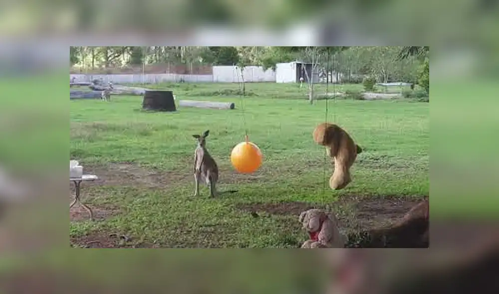 Desliza para ver los detalles del video viral publicado en YouTube. Foto: Captura.