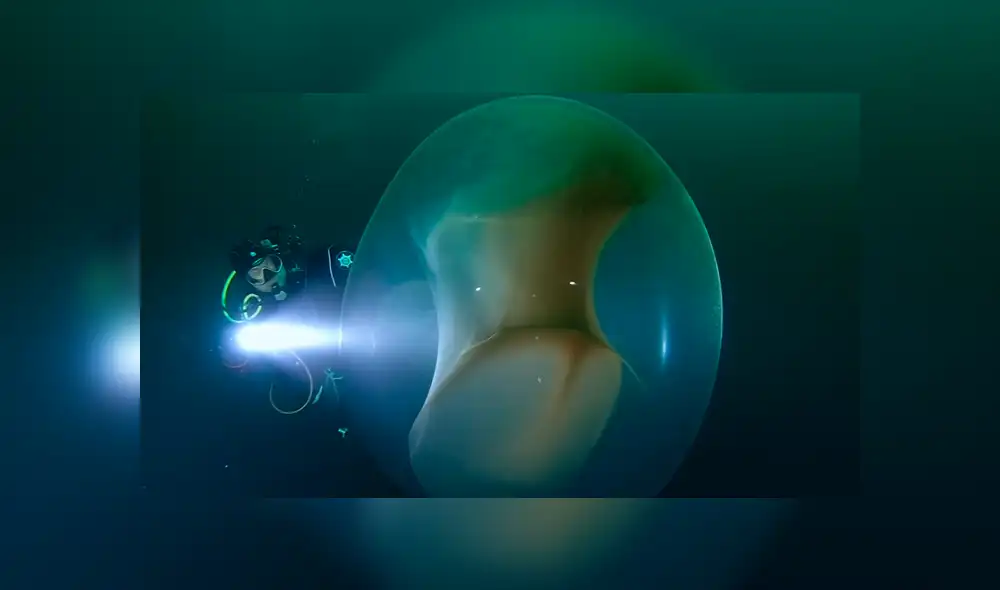 YouTube viral: buzo descubre extraña ‘burbuja’ en fondo del océano y miles quedan asombrados al saber qué es realmente. Foto: Ronald Raasch