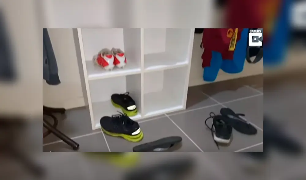 Desliza hacia la izquierda para ver al reptil que aparece en el video viral de YouTube.