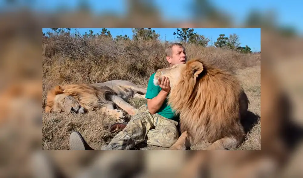 Desliza hacia la izquierda para ver la reacción de león que se volvió viral en YouTube.